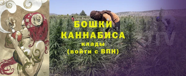 крисы Медвежьегорск