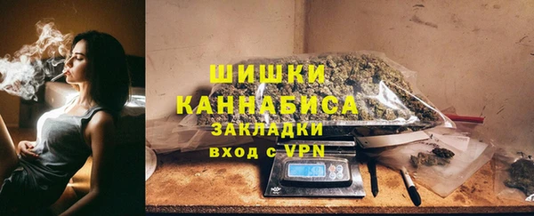 твердый Мегион