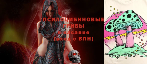 крисы Медвежьегорск
