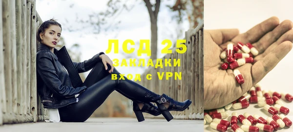твердый Мегион