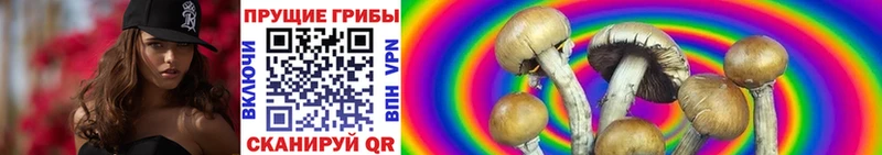 нарко площадка наркотические препараты  KRAKEN ONION  Ясный  где продают   Галлюциногенные грибы Psilocybine cubensis 